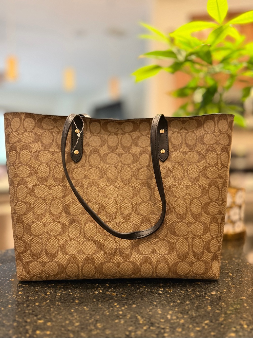 COACH Brown Signature Monogram Tote with Black Trim NWOT